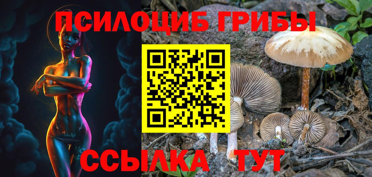 Галлюциногенные грибы ЛСД Димитровград