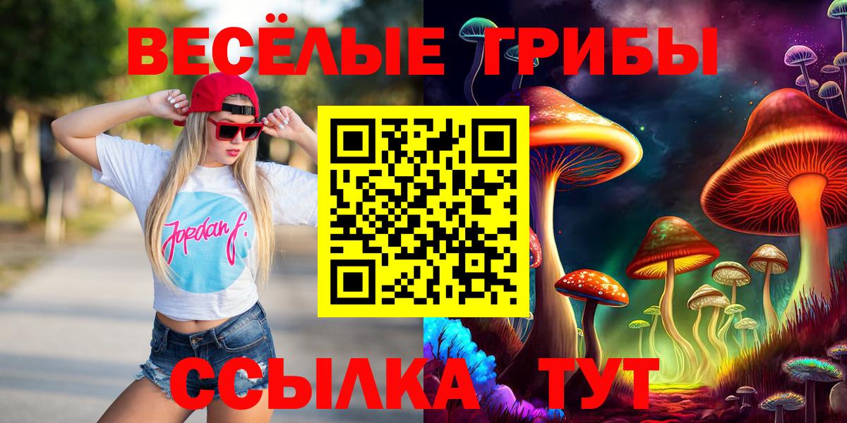 Псилоцибиновые грибы мухоморы  цены   Димитровград  Вход с VPN 
